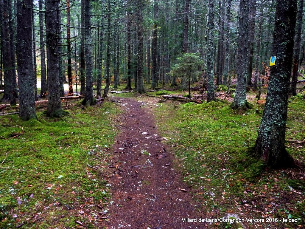 #3 Go To le sentier Go To le sentier