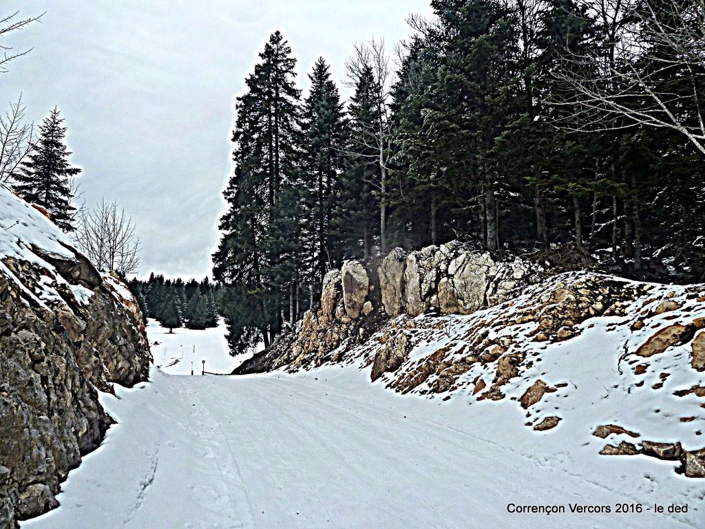 #4 petit collu petit collu