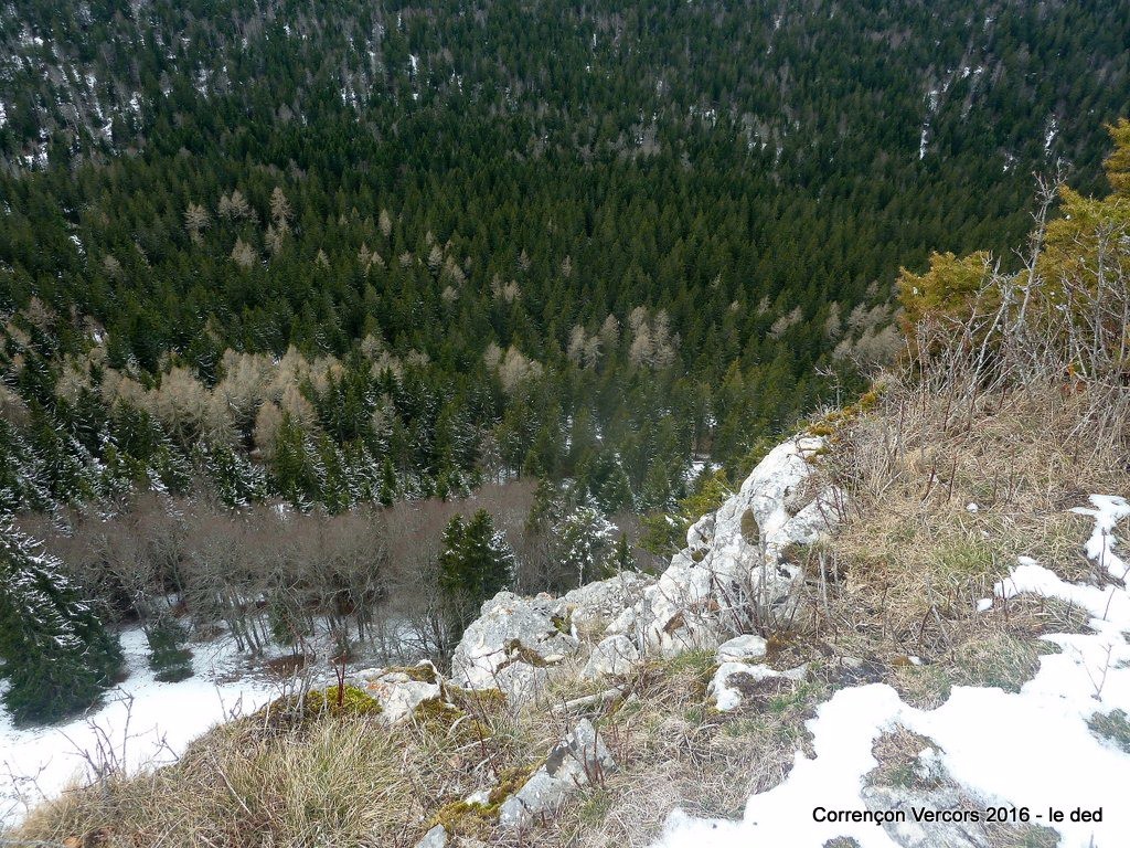 #8 falaise falaise