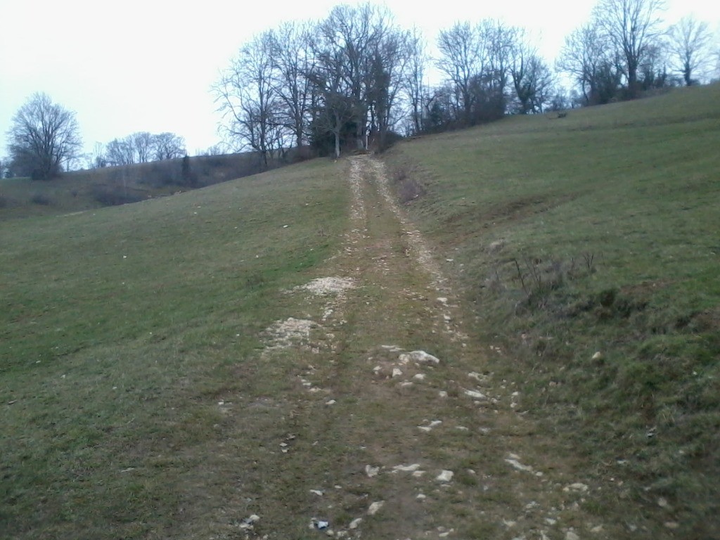 Début dans l'alpage du Mont des Princes