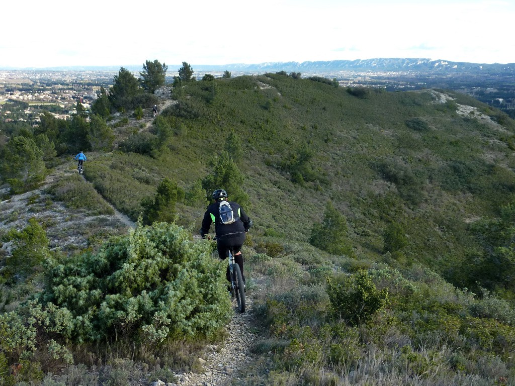 Les Alpilles en toile de fond