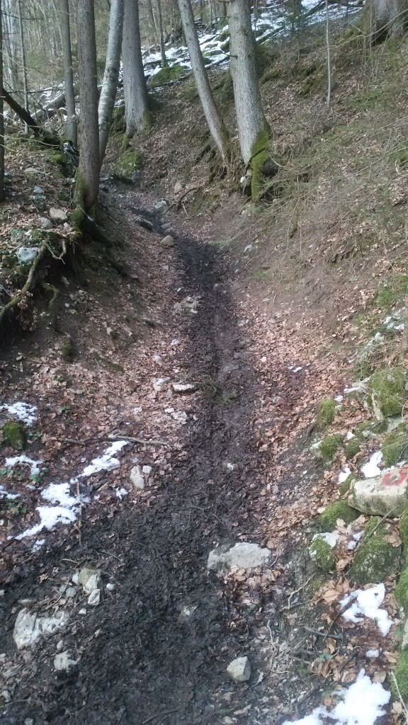 #6 Descente parfois un peu grasse... Descente parfois un peu grasse...
