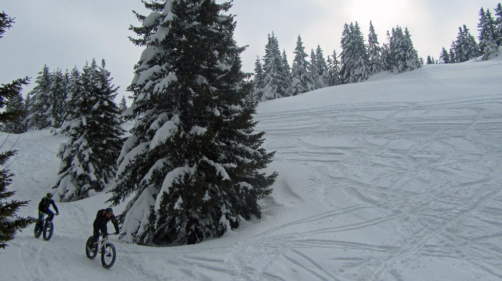 #3 Dans les Bois Dans les Bois
