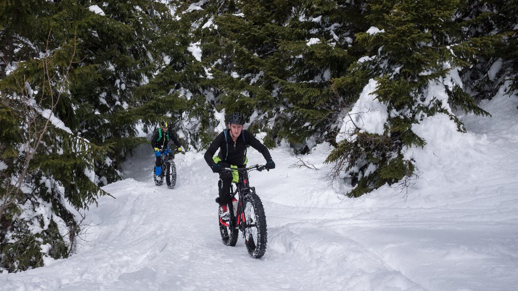 Dans les Bois sur le plateau