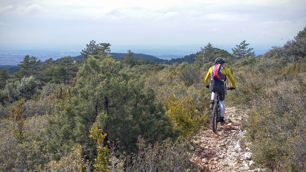 Vers la dernière descente (montagne de l'Intérès)