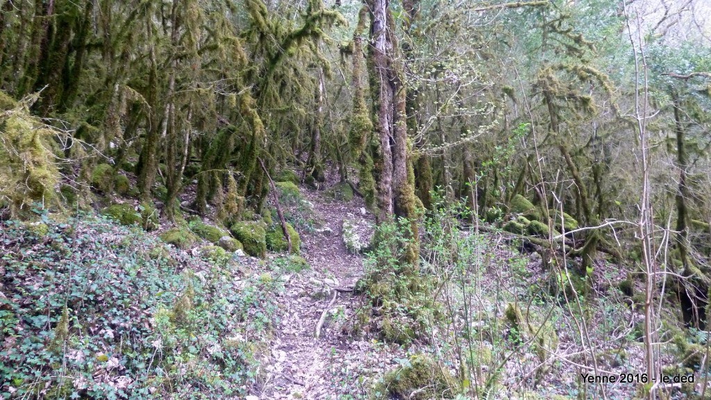 sentier bien tracé