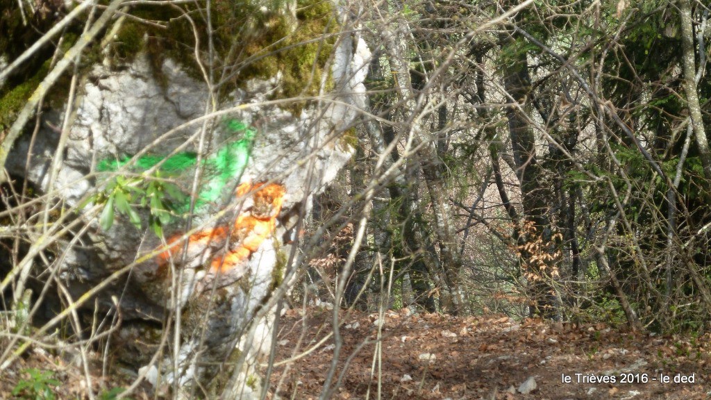 Comment peut-on s'approprier la nature de cette manière ? La rubalise serait mieux mais c'est vrai, il faut l'enlever après, c'est fatiguant, hein !!!