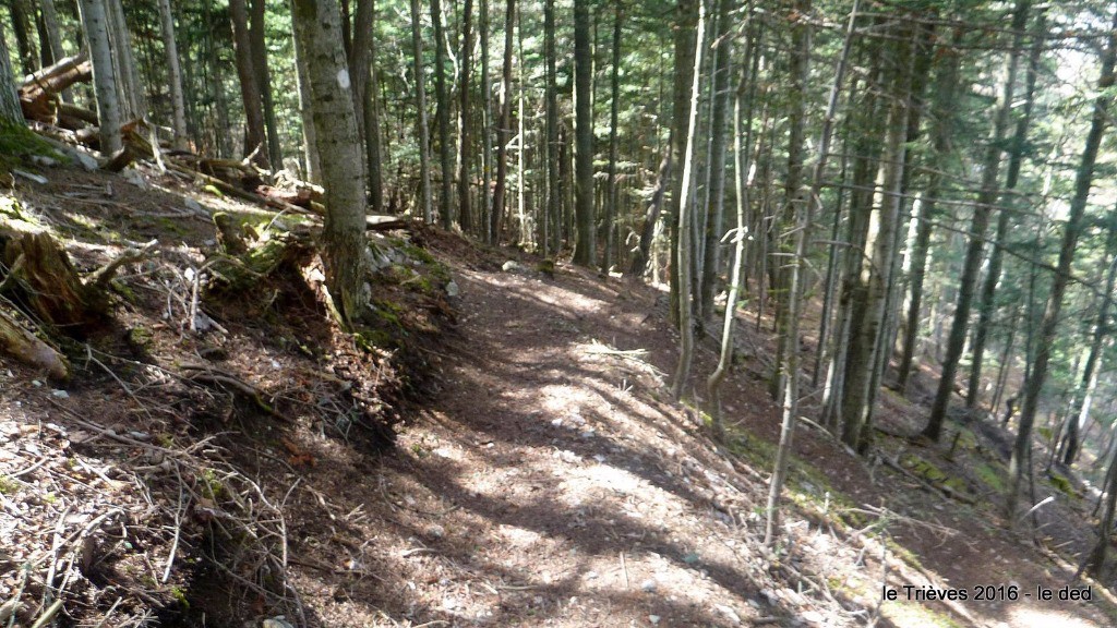 épingles en 2nde partie du Goutaroux