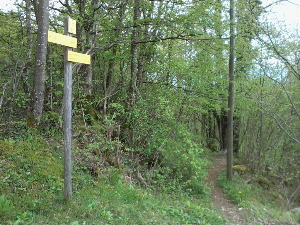 Entrée du sentier de la Cauche au point 629