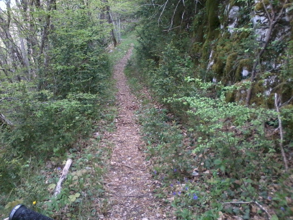 Joli sentier de montée