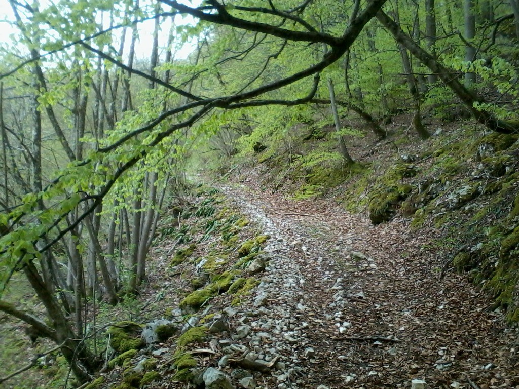 la piste, plutôt chemin qui arrive vers le point 783