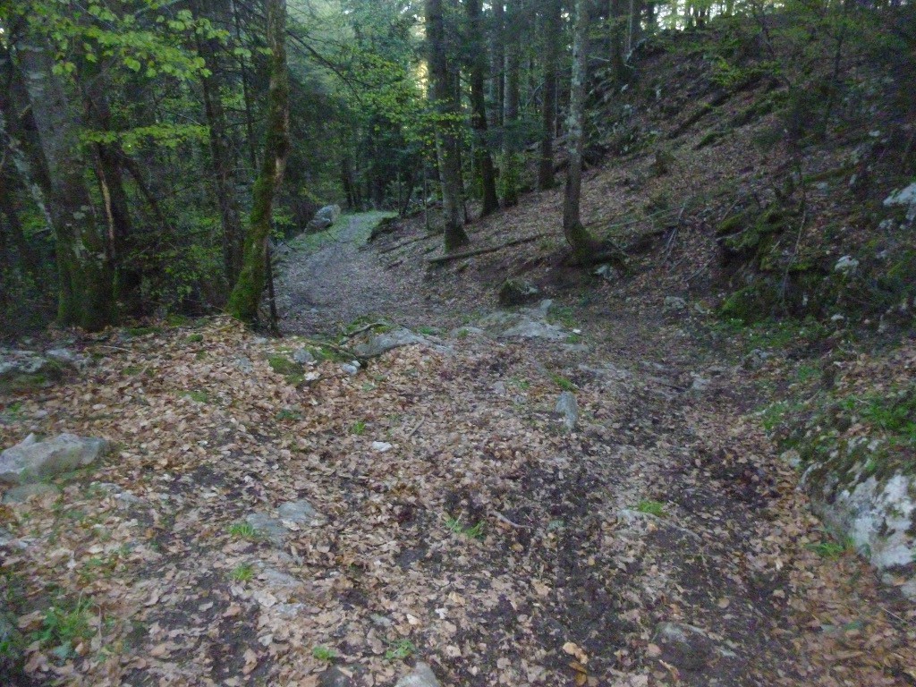 #7 Bas de la descente avant la bifurque vers Larroz Bas de la descente avant la bifurque vers Larroz