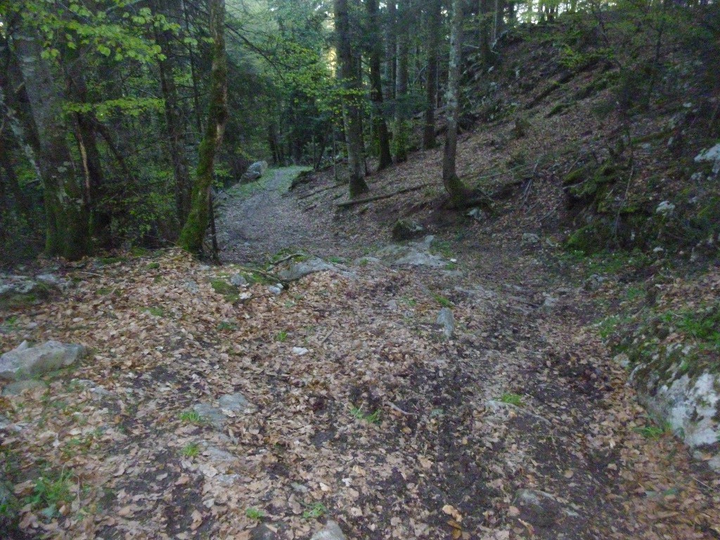 Bas de la descente avant la bifurque vers Larroz