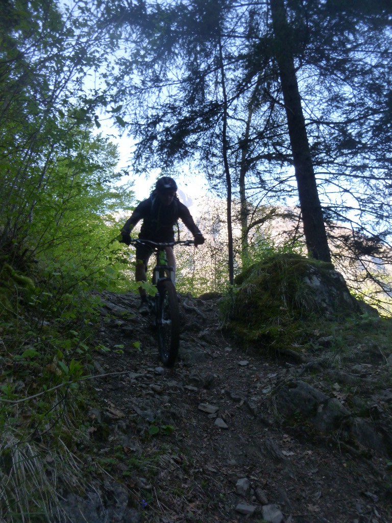 #4 Court final sur sentier vers Bois Dessous Court final sur sentier vers Bois Dessous