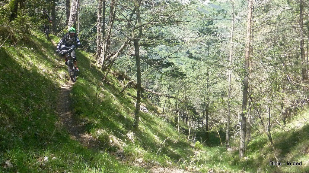 #4 sentier étroit de Serre Sambuc sentier étroit de Serre Sambuc