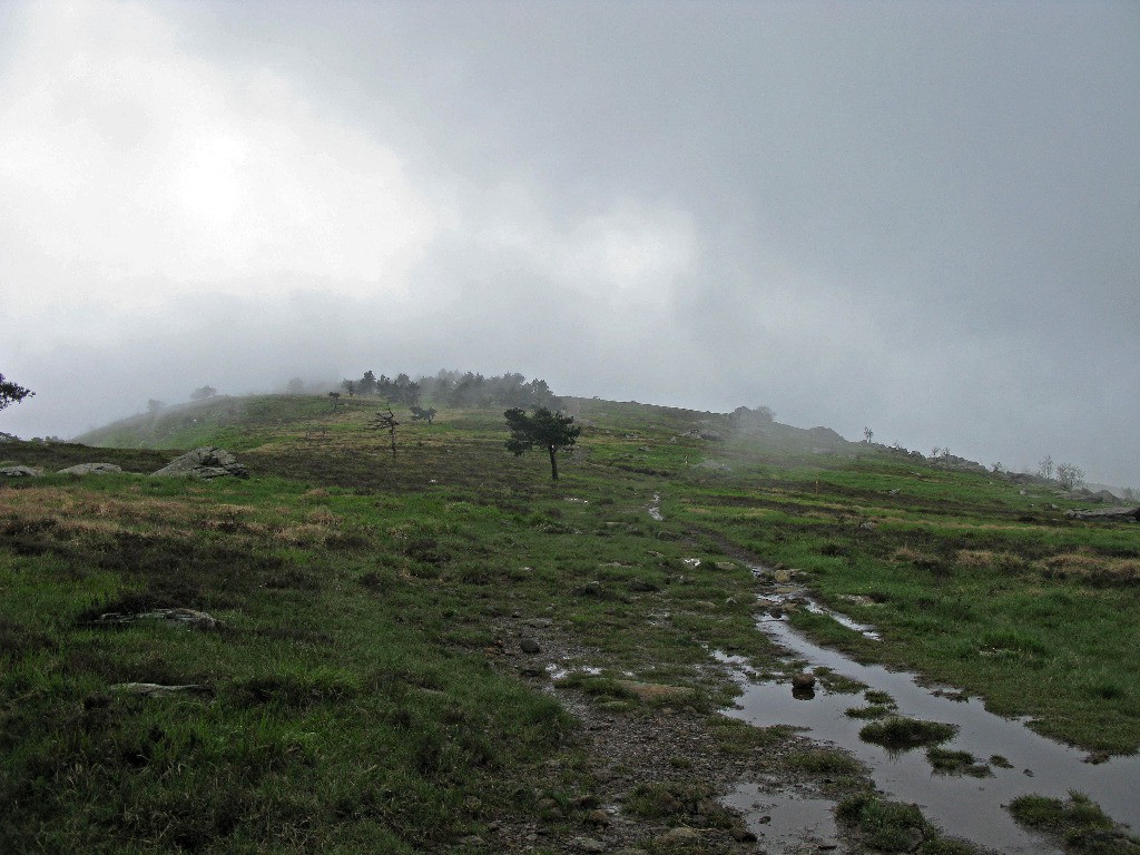 #7 Ambiance highlands Ambiance highlands