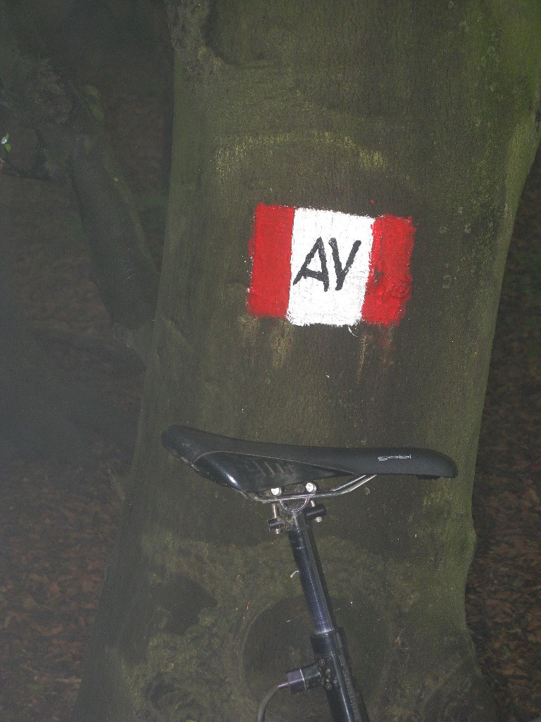 #2 la voie à suivre, ou pas ! la voie à suivre, ou pas !