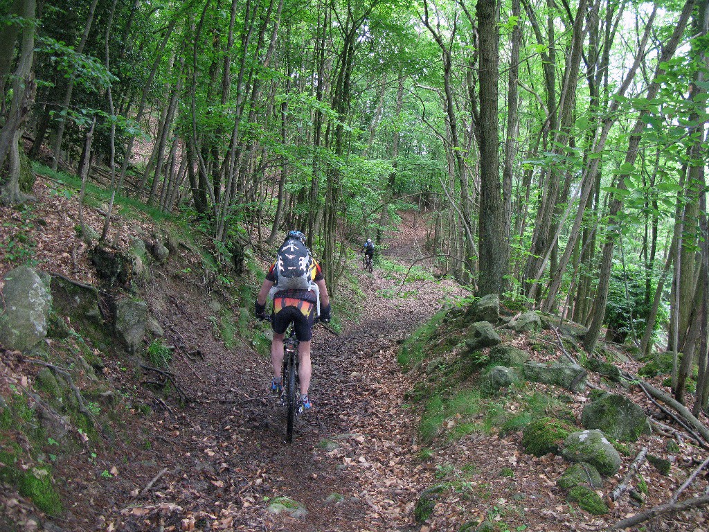 #11 Dans la descente Cinghialtracks Dans la descente Cinghialtracks