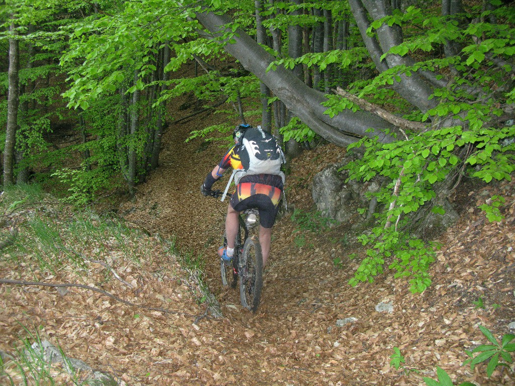 Partie roulante vers le Passo delle Caranche