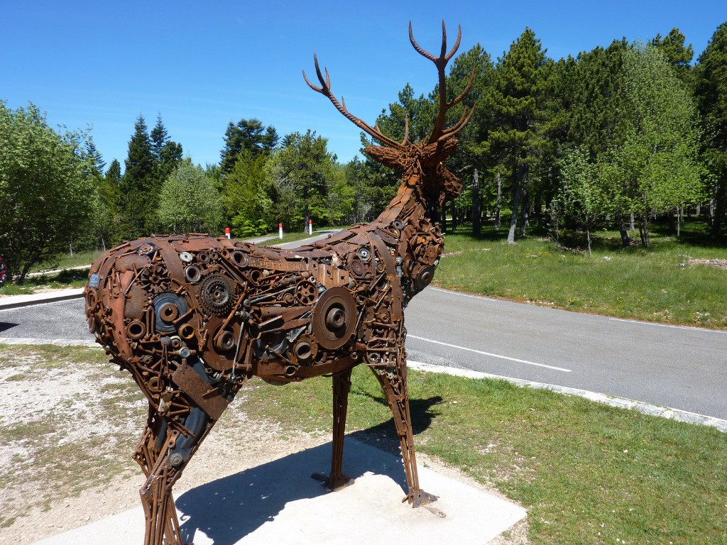 #1 Faune locale Faune locale