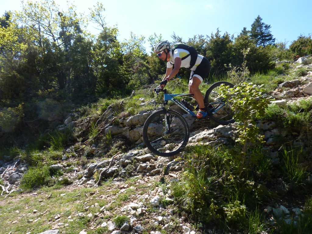 #13 Anne en action Anne en action