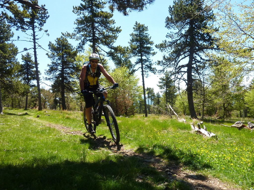 #3 Vers le Pas de la Frache Vers le Pas de la Frache