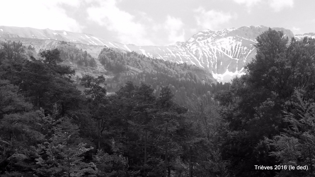 #23 on vient de là haut, au dessus des barres ! on vient de là haut, au dessus des barres !