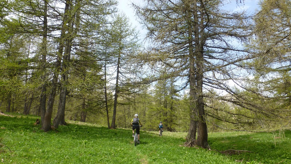 #4 Superbe sentier Superbe sentier