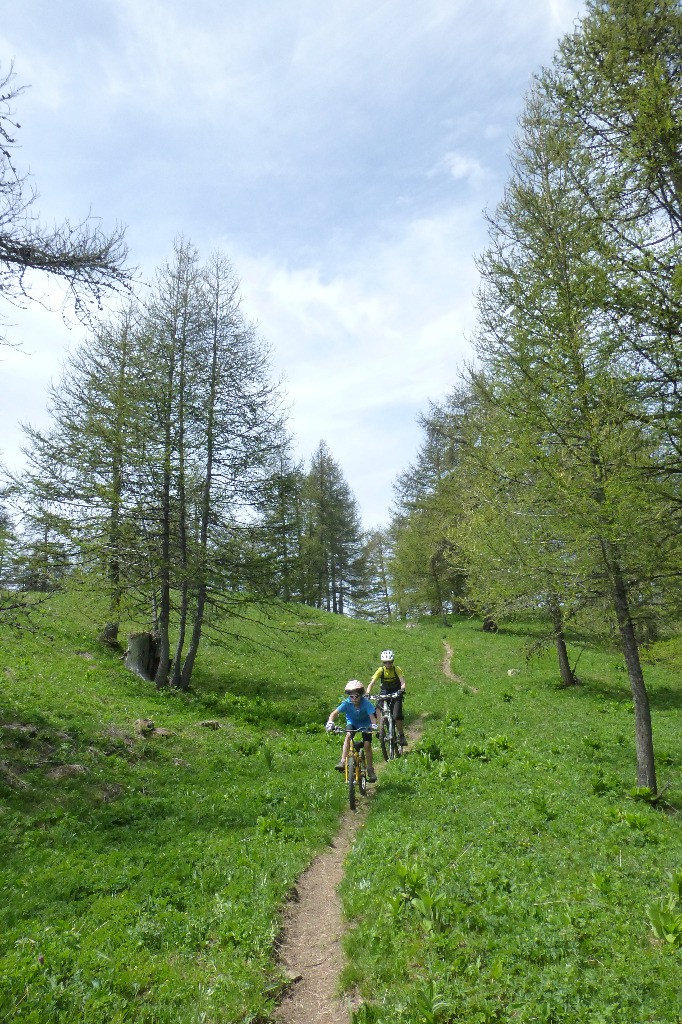 #10 Tim en serre-file Tim en serre-file