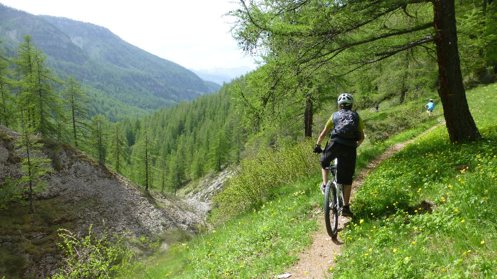 Sentier sous les Juges