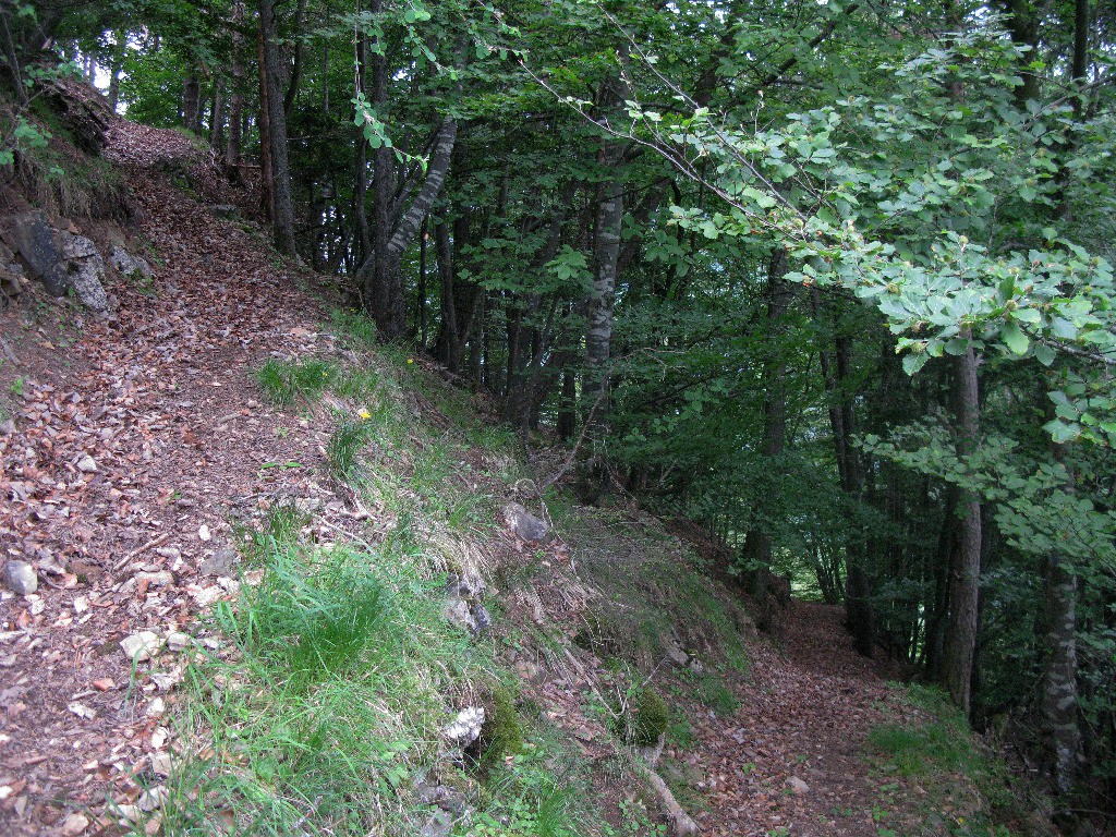 Sentier de Champoulet
