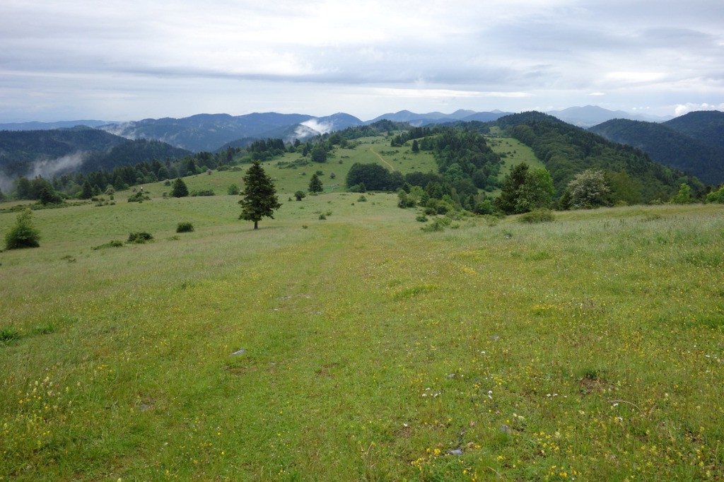 Plateau de Languerail