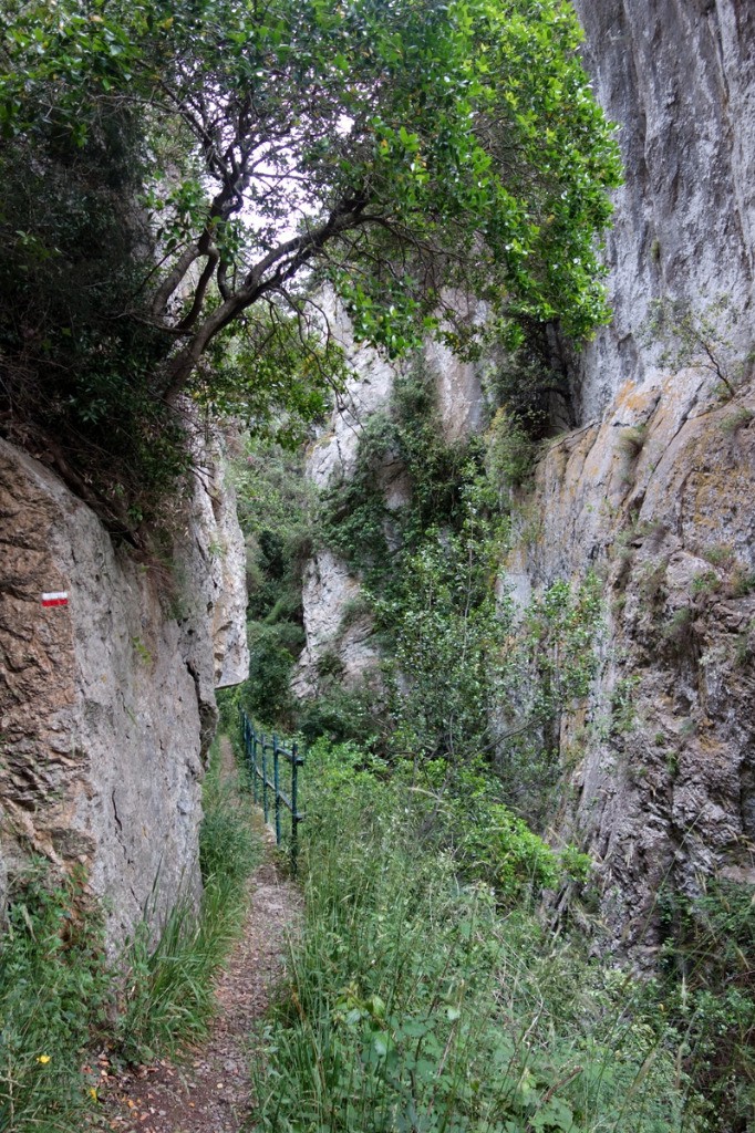 Gorges de St Jaume