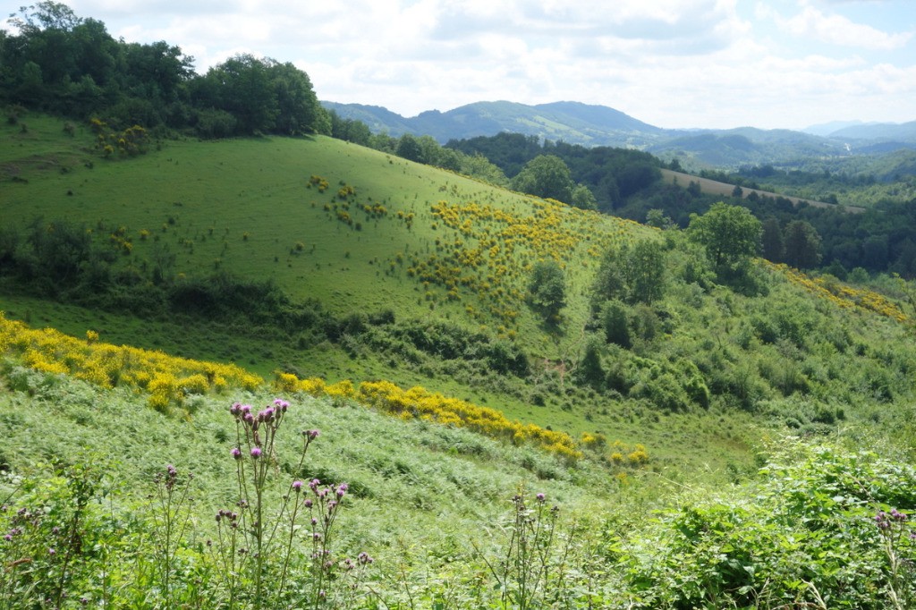 #40 Dans le Plantaurel Dans le Plantaurel
