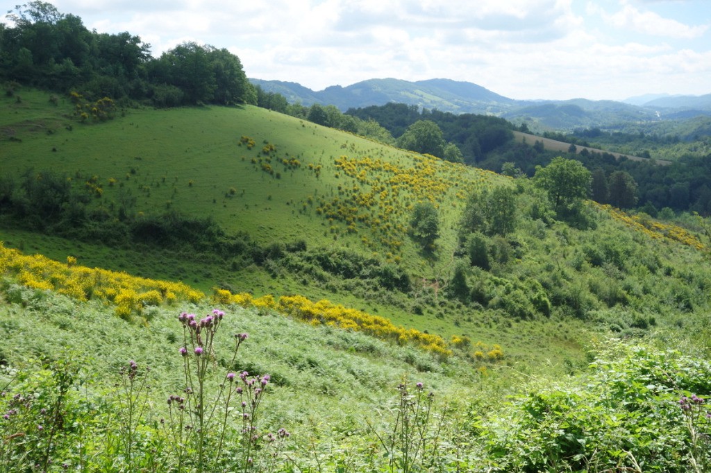 Dans le Plantaurel