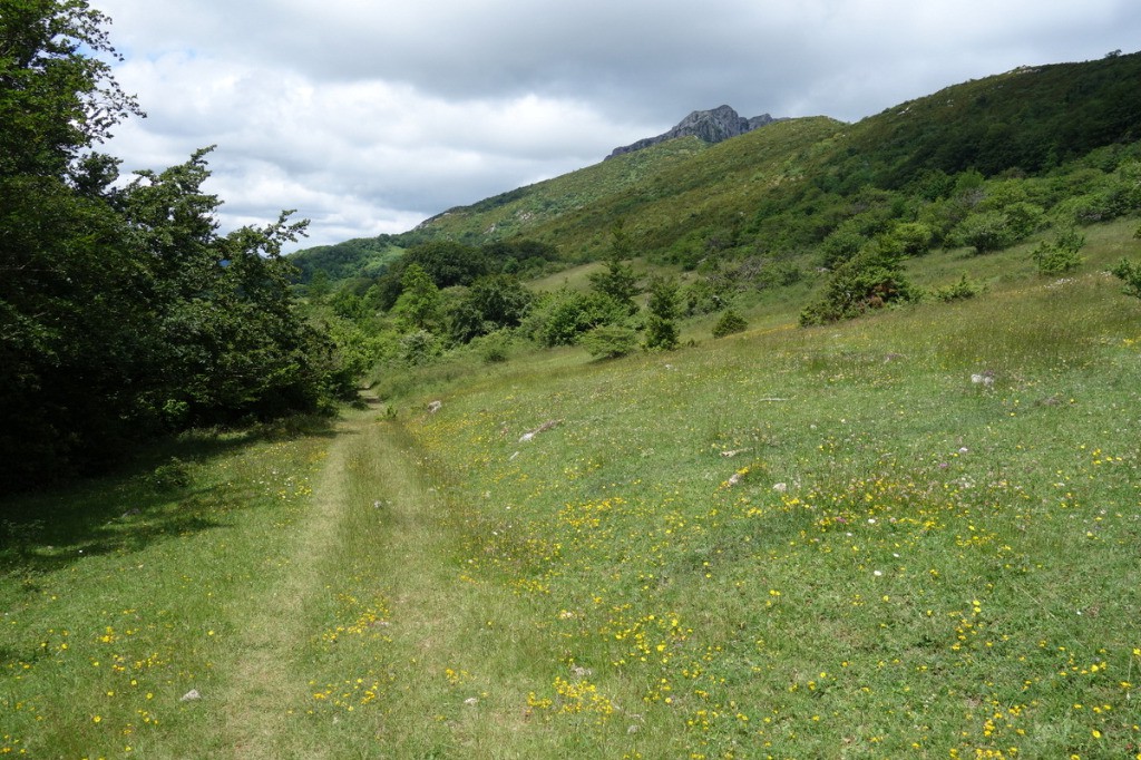 Vers le col de Péchines sous le Pech de Bugarach