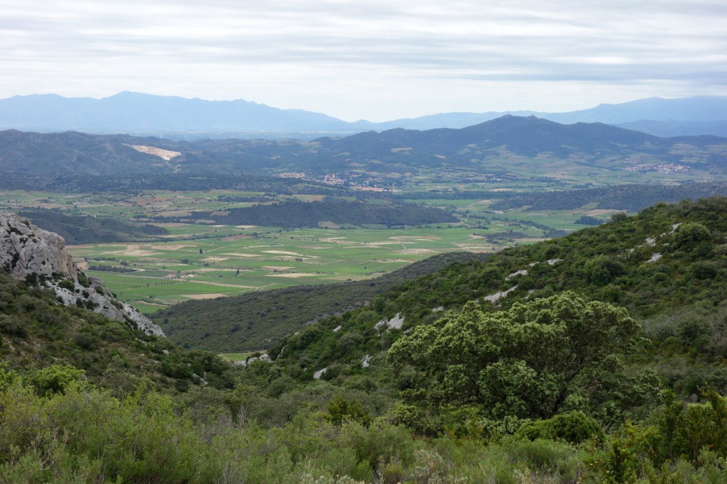 Les Albères depuis Quéribus