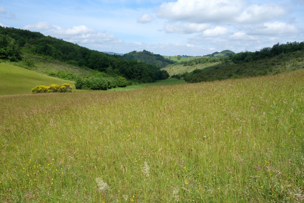 Dans le Plantaurel