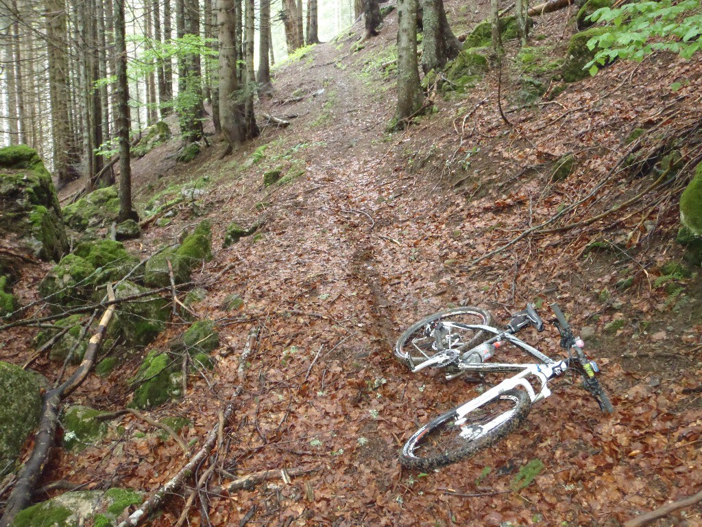 Sentier : Col des Follys > Souvroz d'en bas, avec quelques obstacles dans la partie finale. 