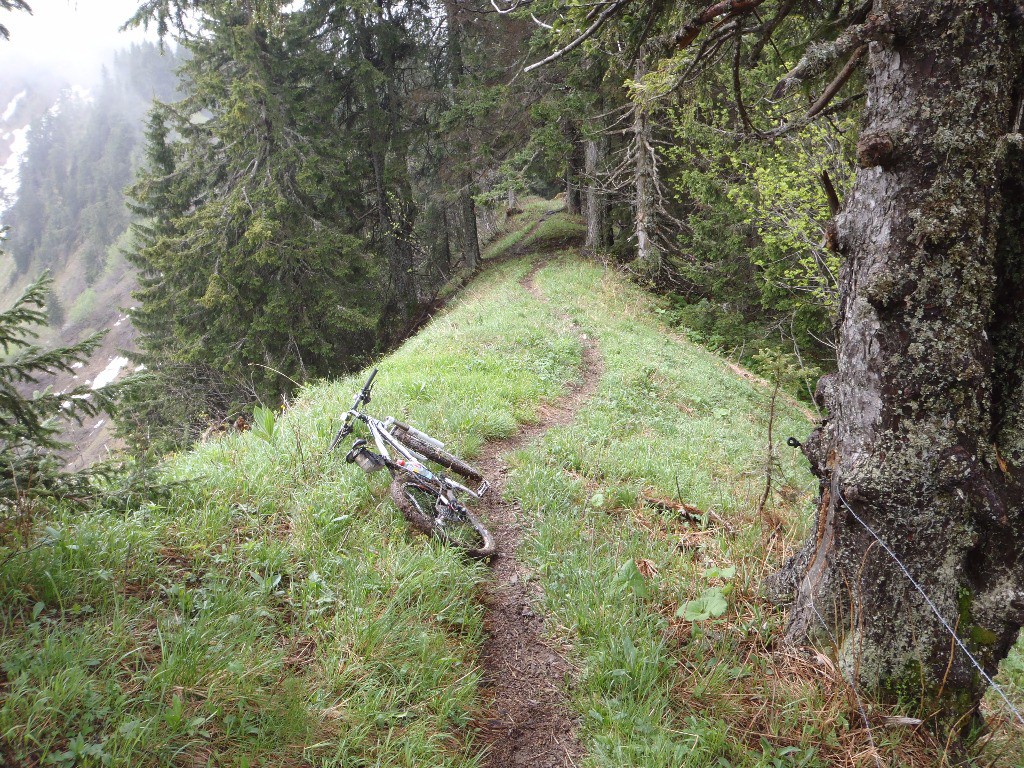 #2 Le sentier : La Grande Pointe > Col des Follys, sur la droite deux rangées de fils barbelés. Le sentier : La Grande Pointe > Col des Follys, sur la droite deux rangées de fils barbelés.