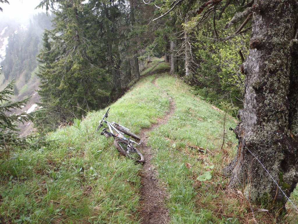 Le sentier : La Grande Pointe > Col des Follys, sur la droite deux rangées de fils barbelés.