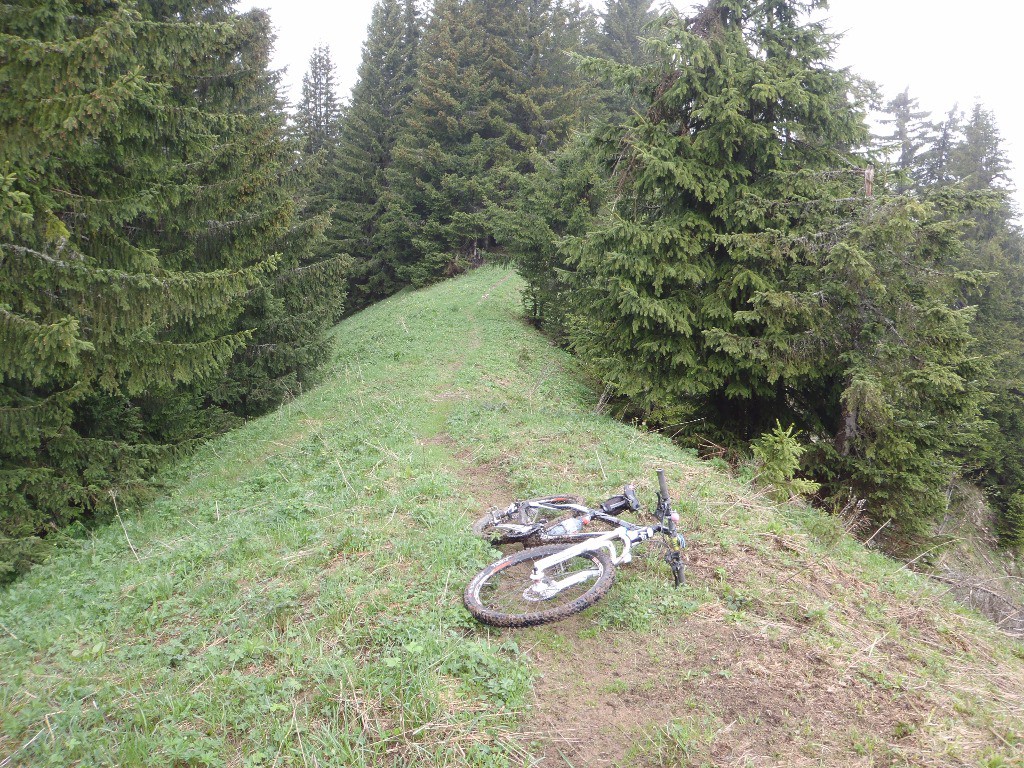 Le sentier : La Grande Pointe > Col des Follys, à cet endroit le sentier remonte en face : NE pas le prendre. Il faut s'engager sur le sentier en contrebas à droite.