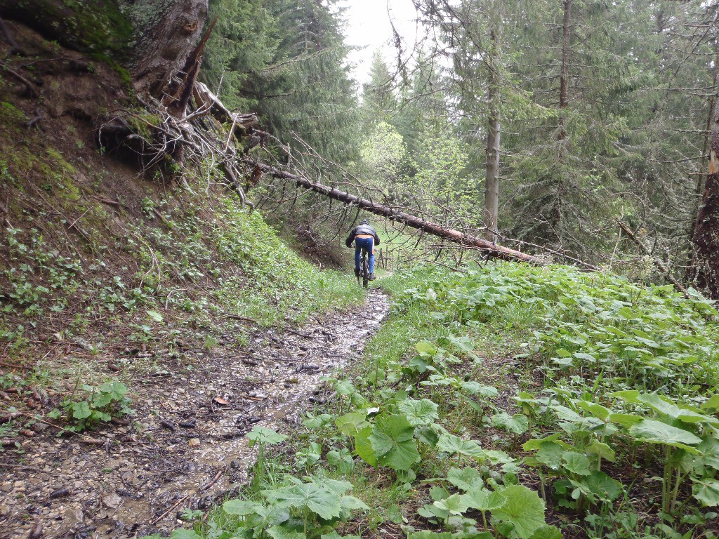 Sentier : Col des Follys > Souvroz d'en bas, plus facile et plus cyclable.