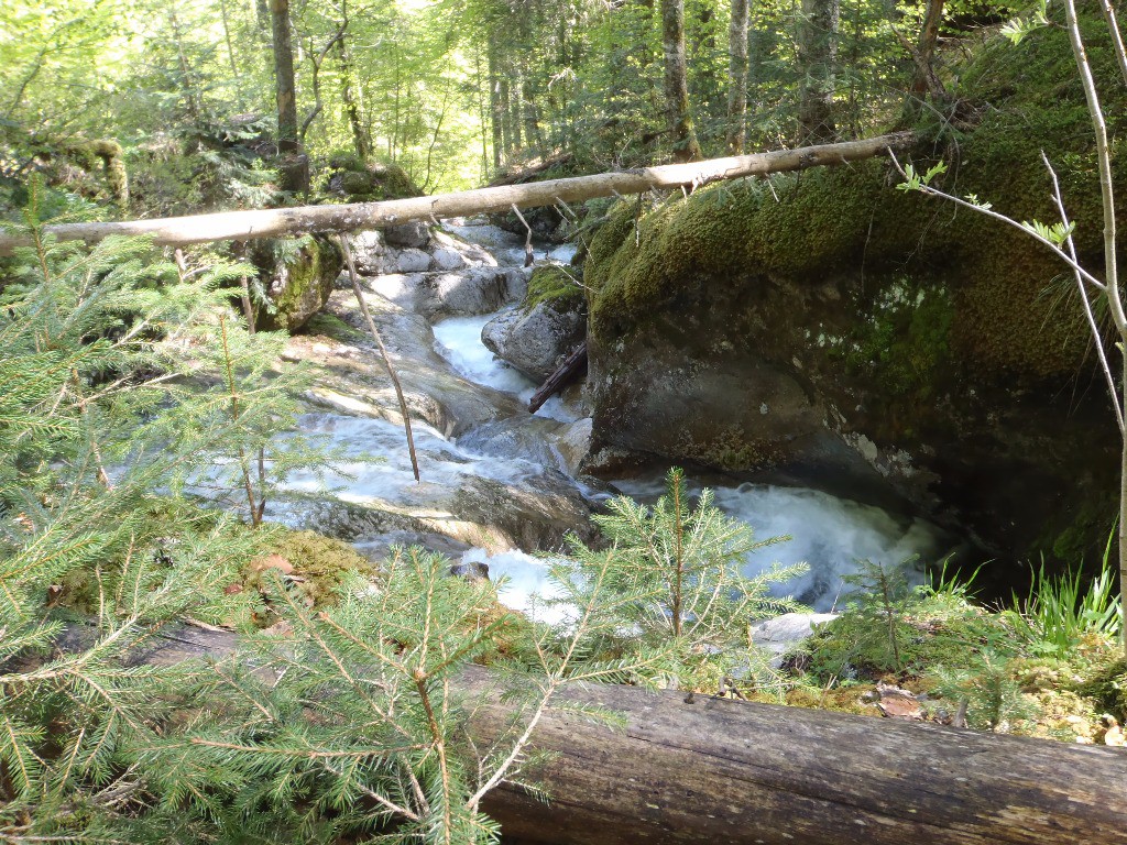 Cascade de la Diomaz est adjacent au sentier.