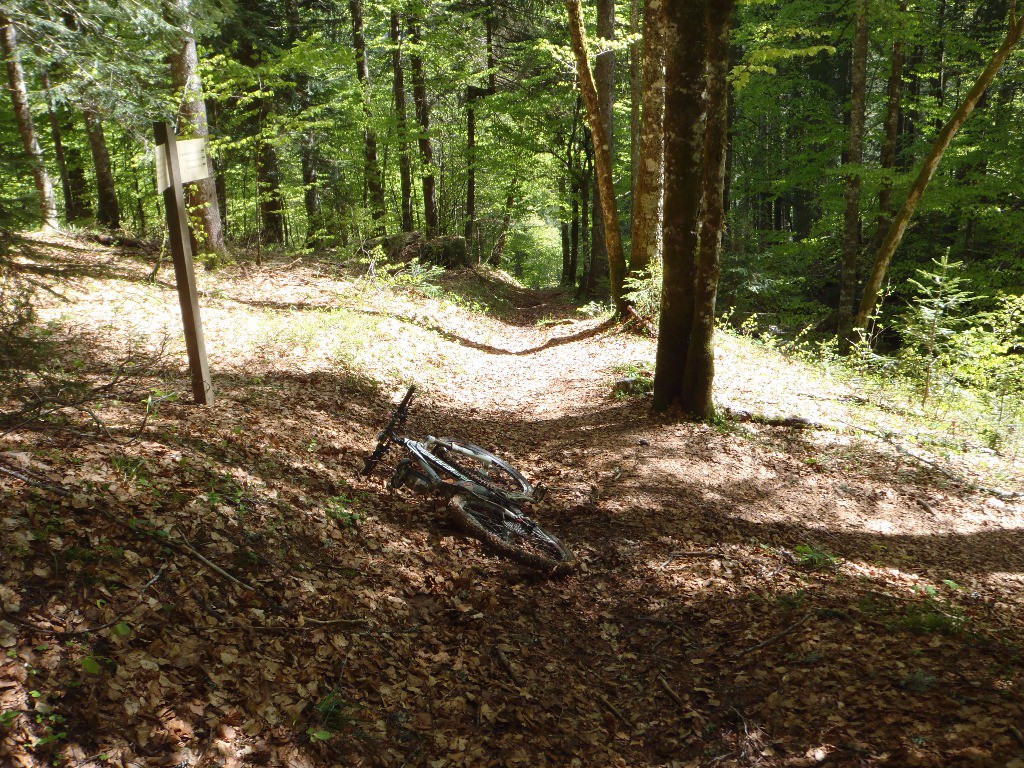 #7 La Croix des Chartreux : ne pas aller à la cascade avec le VTT, continuer tout droit. La Croix des Chartreux : ne pas aller à la cascade avec le VTT, continuer tout droit.