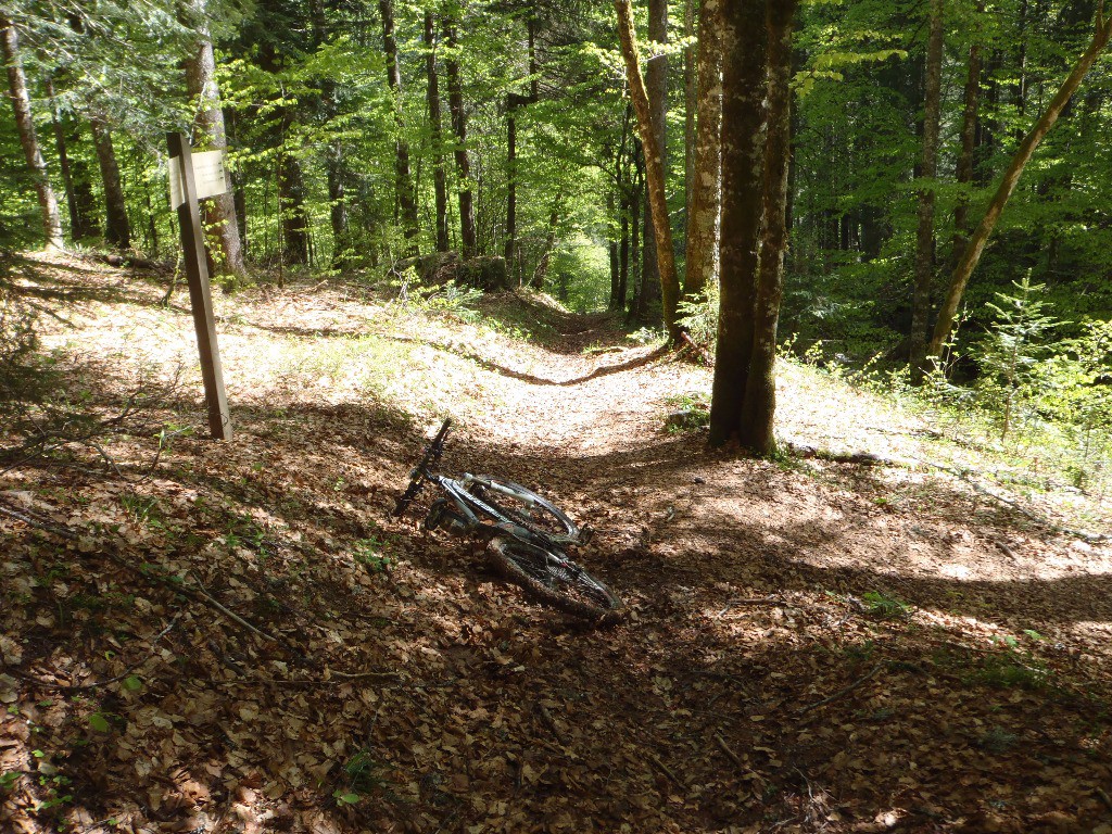 La Croix des Chartreux : ne pas aller à la cascade avec le VTT, continuer tout droit.