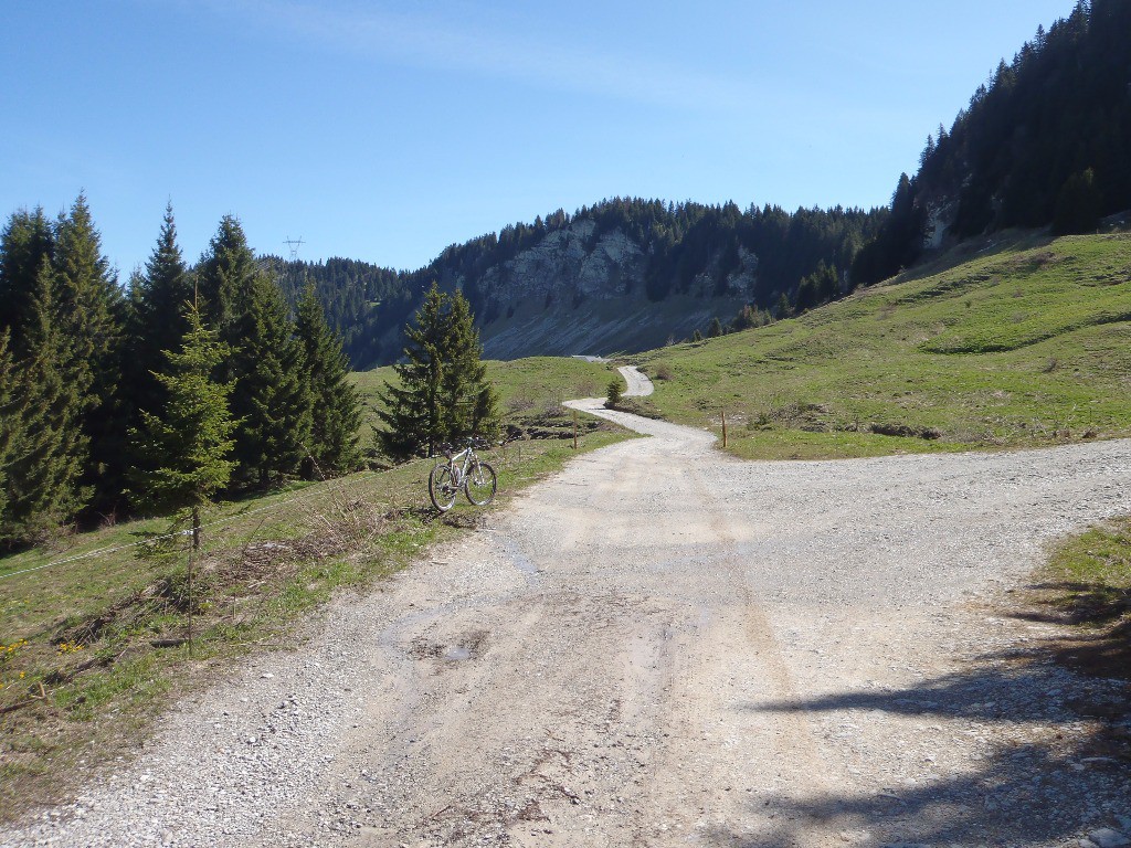 la piste pour grimper au refuge, c'est lisse, large, aucun obstacle.