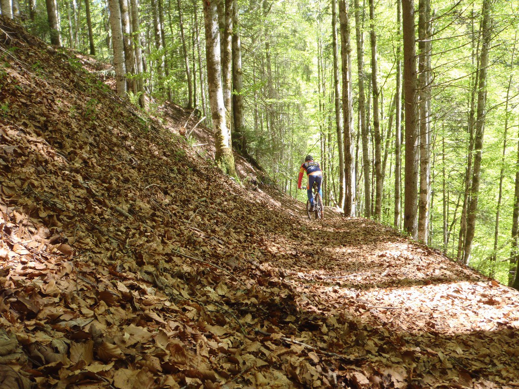 Sentier technique, ne pas hésiter à descendre à côté du VTT et d'anticiper avant les obstacles. A faire par temps sec.     