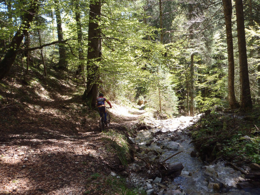 Le sentier : Le refuge forestier de la Bray > La Croix des Chartreux > La  Chapelle  Saint Bruno.