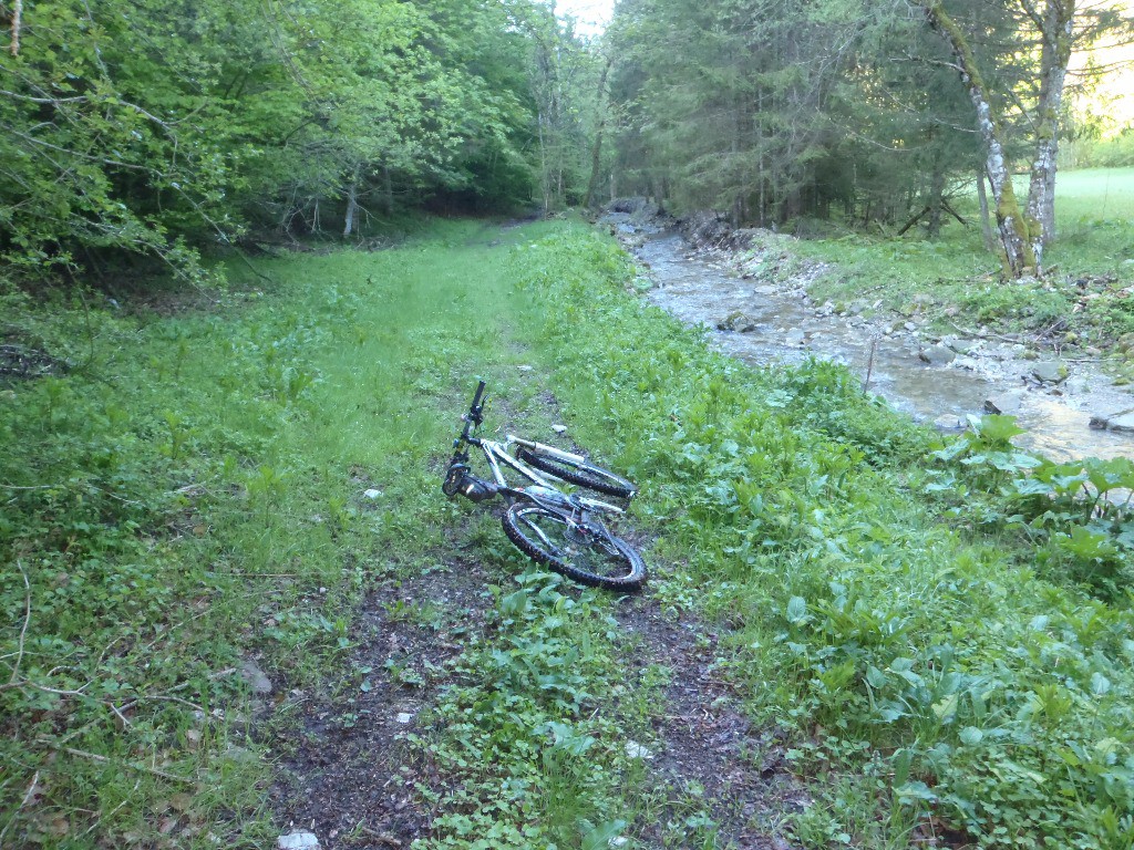 Ancienne route du Col de Jambaz, souvent l'eau des ruisseaux passe par la route.